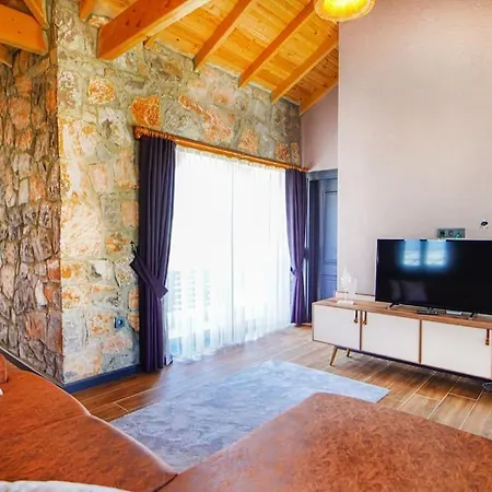 Villa Rich Stone *